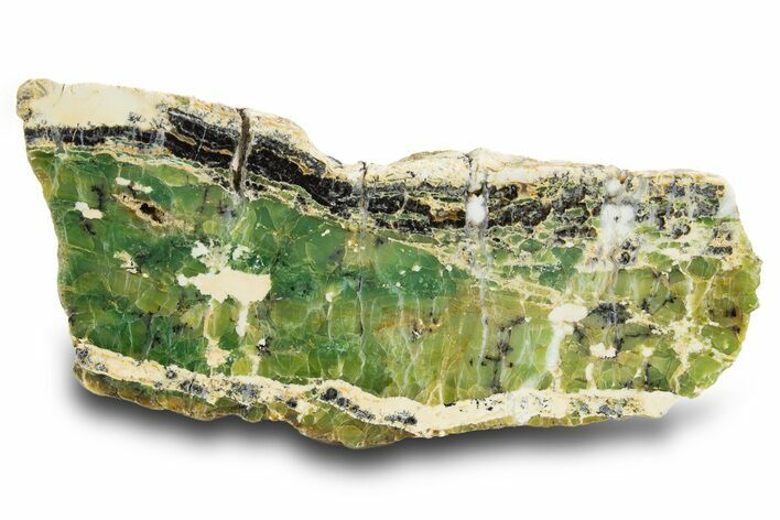 Polished Green-White Opal Slab - Western Australia #314414